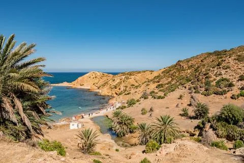 Korbus tunisia Stock Photos