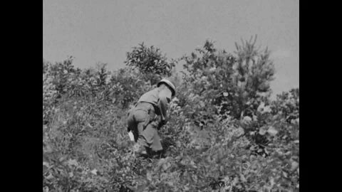 KOREA - 1951 - Gun crews loading shells into mortars before firing. An officer Stock Footage 340589227