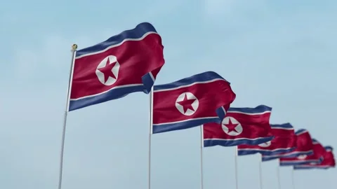 Korea North Row Of Flags Animation Stock-Footage 136212012
