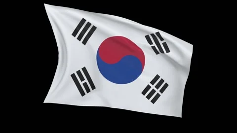 Korea seamless loop flag animation simulation 動画素材 150313456
