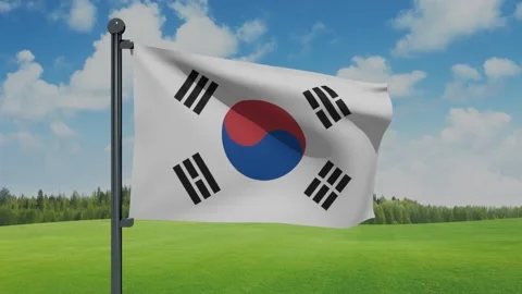 Korea (South) Flag Video stock 153254264