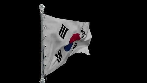 Korea South Stock Footage 109110858