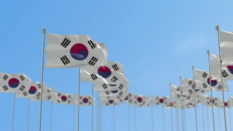 Korea South Row Of Flags 3D Animation Stock-Footage 148709665
