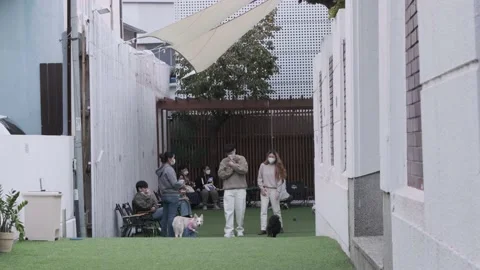 Korean and pets during Covid-19 Stock Footage 165155992