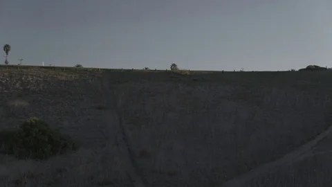 KOREAN BELL Stock Footage 85009493