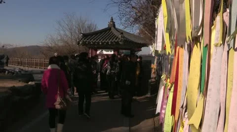 Korean border DMZ Video stock 10574700