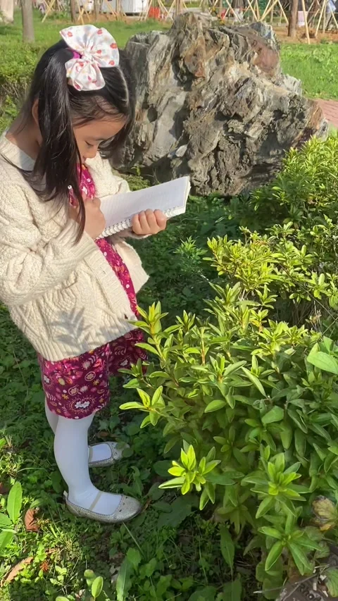 Korean child exploring plants; Vertical Stock Footage 317433176