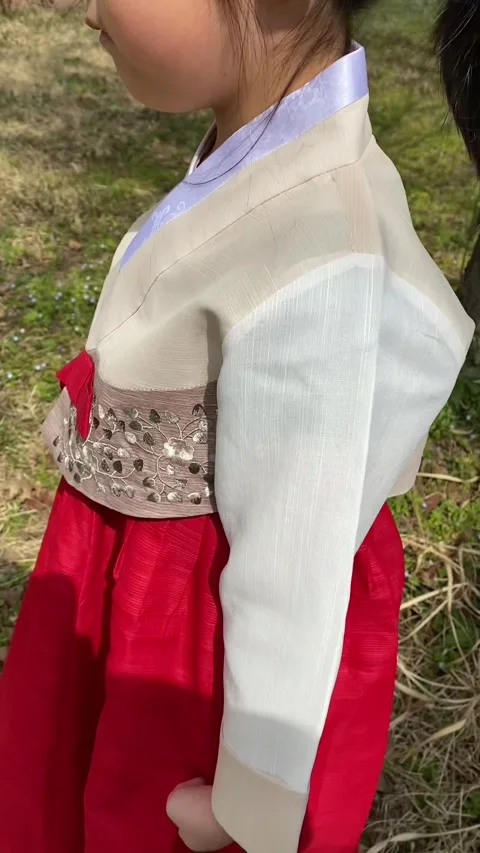 Korean child in hanbok; Vertical Stock Footage 317433196