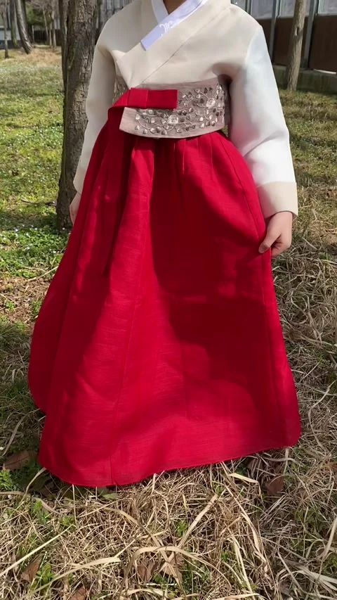 Korean child in hanbok; Vertical Stock Footage 317433201