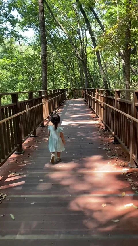Korean child walking in the forest; Vertical Stock Footage 317433122