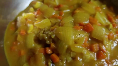 Korean curry rice3 Stockbeeldmateriaal 256741863