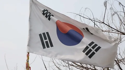 Korean Flag Blowing in Wind Vídeo Stock 101268582