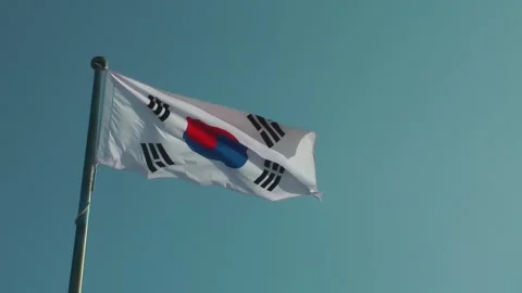 A Korean flag is flying 動画素材 343387043