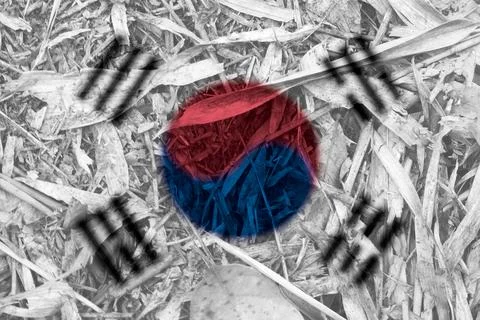 Korean flag texture as a background Stock Photos