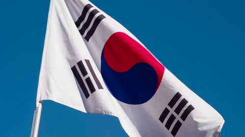 Korean Flag Waves the Wind HD Pro Stock-Footage 111057830