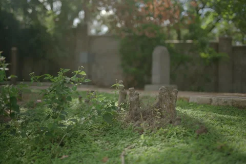 Korean stone 2 Stock Footage 278017302