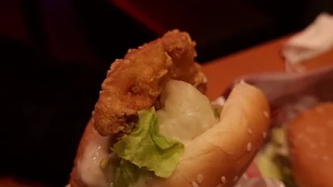 Korean T-Rex Hamburger Stockbeeldmateriaal 256741854