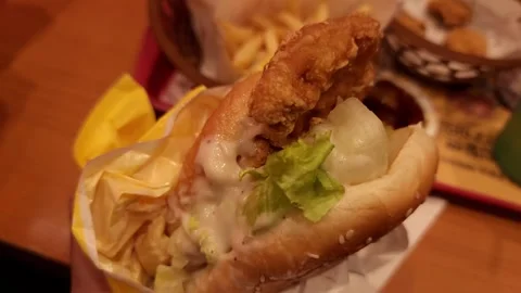 Korean T-Rex Hamburger2 Stockbeeldmateriaal 256741862