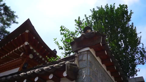 Korean tranditional house architecture style neighborhood low angle with pine Stock Footage 133932048