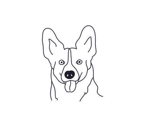 Korgi portrait Stock Illustration