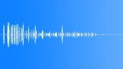 Korhaan Sound Effect