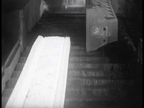 A kosher butcher selects cattle in 1930. Video stock 75286414