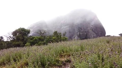 The Kote Betta mountain range covered in Mist in Coorg, India. Stock Footage 160635011