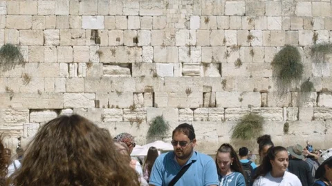 Kotel walking through people Stock Footage 114854557