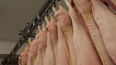 Kotlas, Russia - December2024: Meat Processing Plant Stock Footage 304427583