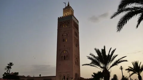 Koutoubia Mosque in Marrakech at sunset with palm trees, Morocco Video stock 132342016
