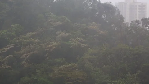 Kowloon tong Stock Footage 95129838