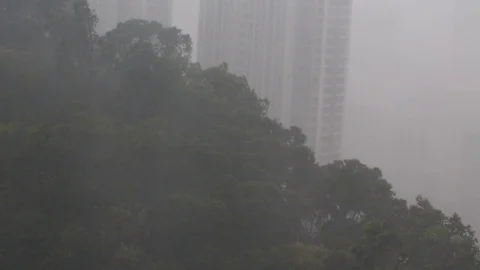 Kowloon tong Stock Footage 95129869