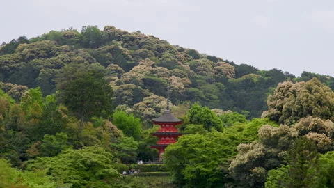 Koyasu Pagoda Among Trees on Mount Otowa - Kyoto, Japan Stock Footage 336828097