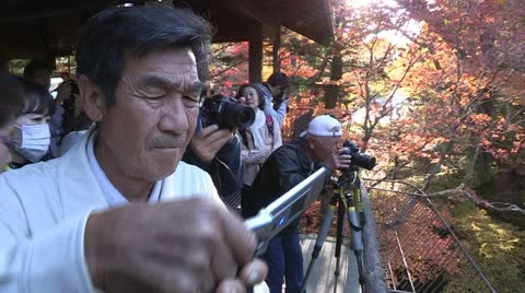 Koyo and Nikko temple Video stock 12436367