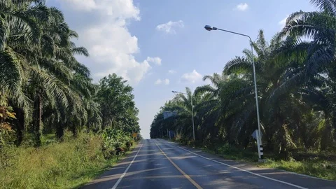 Krabi Road Trips Stock Footage 126282140