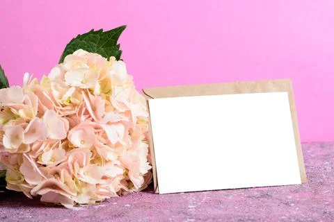 A kraft envelope with a hydrangea flower on a pink background. Invitation layout Stock Photos