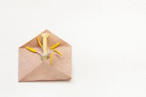 Kraft envelope with tulip pestle Stock Photos