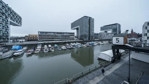 Kranhäuser 스톡 동영상 148232931