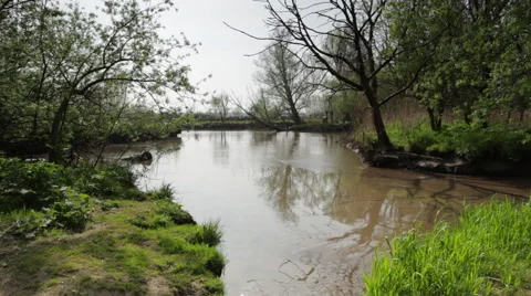 Kreek Stock Footage 49161646