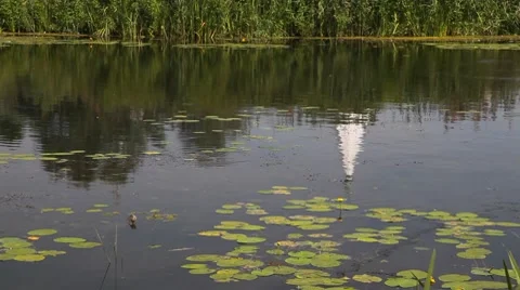 Kremlin reflection 库存影片 8685110