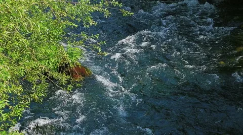 Krka, river flow detail Stock Footage 46046930