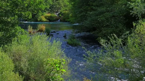 Krka river flow Stock Footage 46045281