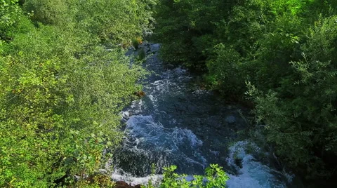 Krka river flow through the bushes Stock-Footage 46047251