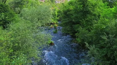 Krka river flow through the bushes Stock-Footage 46047382