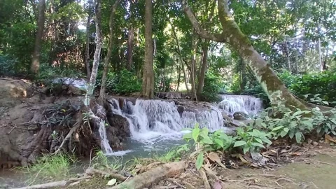 KroengKrawiaWaterfall11 Vídeo Stock 322052054