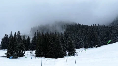 Krokus dolina10 Stock Footage 239184928