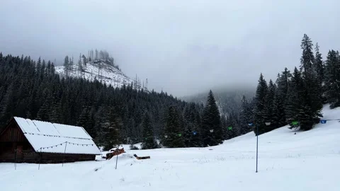 Krokus dolina5 Stock Footage 239094694