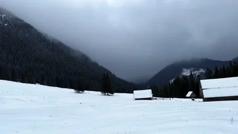 Krokus dolina7 Stock Footage 239180589