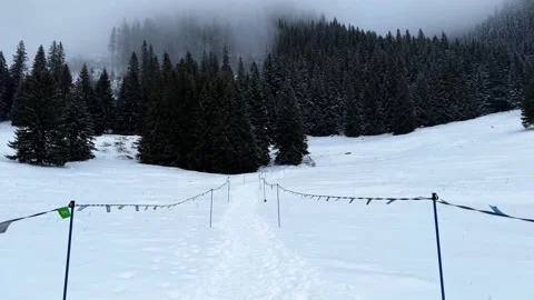 Krokus dolina9 Stock Footage 239184659