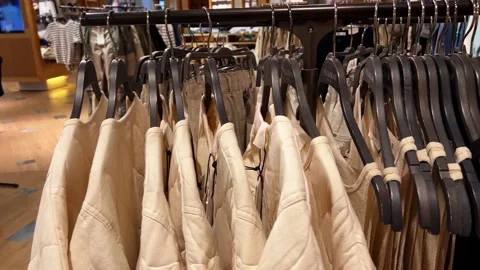 Krokus Stock Footage 239193912